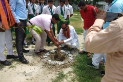 Plantation-2